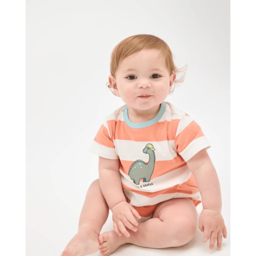 Baby Organic Cotton Short Sleeve Bubble Bodysuit - Dino Stripe Red