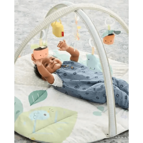 Garden Oasis Activity Gym - Skip Hop | Carter's