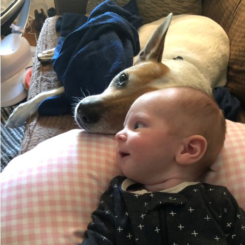 Postpartum Doula Fund