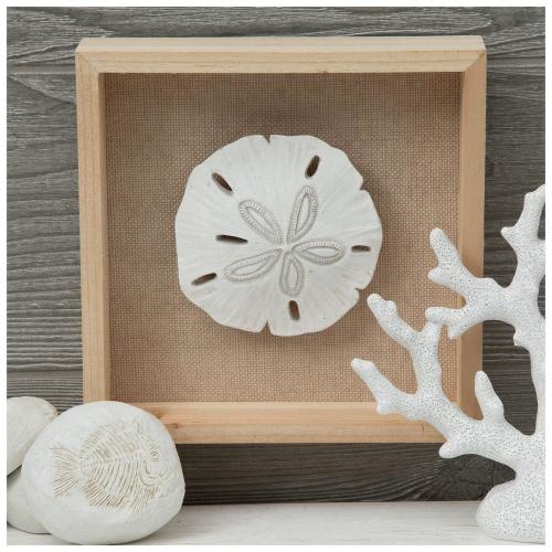 Sand Dollar Seashell Wood Decor