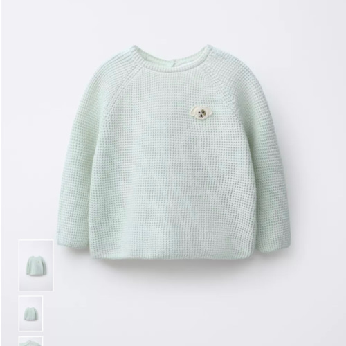 EMBROIDERED DOG PURL KNIT JUMPER - Aquamarine | ZARA United States