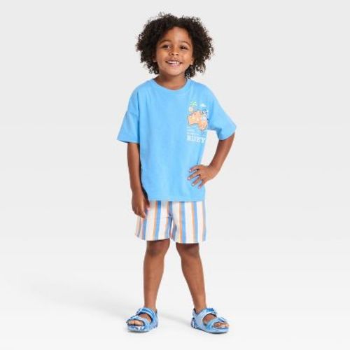 Toddler Boys' 2pc Bluey T-Shirt & Shorts Set - Blue 5T
