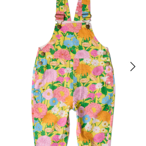 Follow The Sun Baby Cotton Drill Overalls
