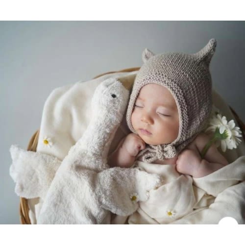 Goose Cuddly Animal