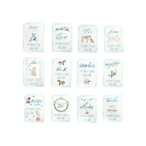 Monthly Milestone Card Set - Blue | Danrie