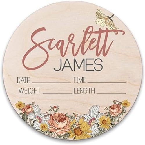 Birth Stat Sign Personalized for Newborn Baby, Scarlett James Design, Crib & Nursery Decor, Photography Prop, Baby Shower Gifts, Gender Reveal, Pregnancy Announcement, Hickory Hollow Designs