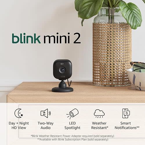 Blink Mini 2 (Newest Model) — Home Security & Pet Camera(s) with HD video, color night view, motion detection, two-way audio, and built-in spotlight — 1 camera (Black)