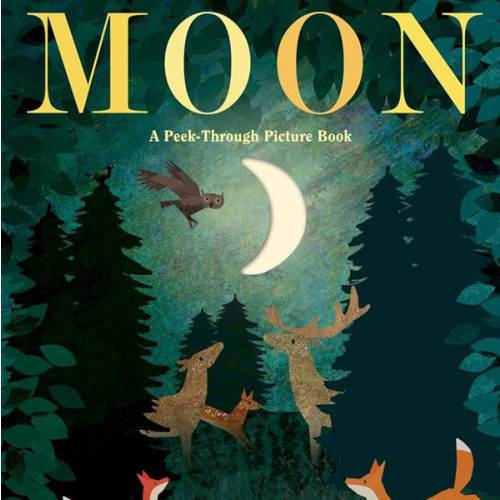 Moon: A Peek-Through Picture Book