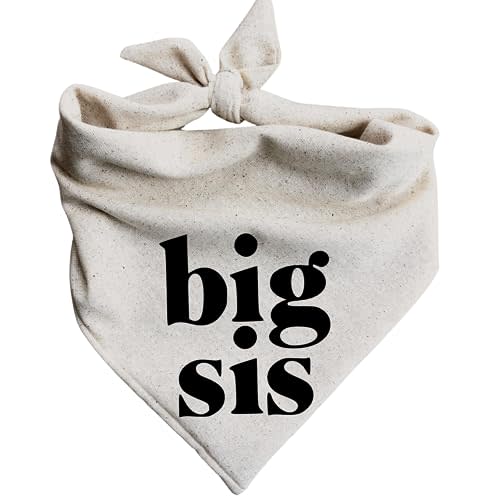 Big Sis Dog Bandana Big Sister Pregnancy Announcement Matching Baby Announcement Baby Shower Attire Gift (Medium)