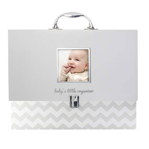 Document Organizer, All In One Expanding File Folder, Baby's Paperwork and Records, Newborn Keepsake and Memory Box with Labels, Baby Girl or Baby Boy Gift, Gray Chevron