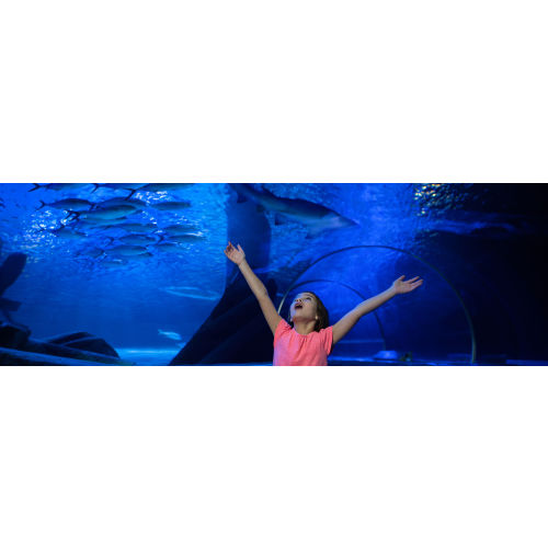 Sea life Membership - 1
