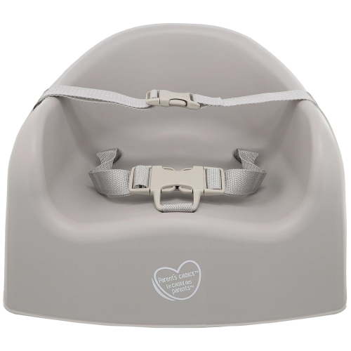 Parent’s Choice Baby Booster Seat with 3-Point Harness - Walmart.ca