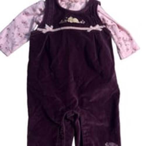 Baby Girls Purple Winnie the Pooh Overalls and Pink Floral Top 6 months