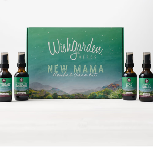 Postpartum Essentials: Best Postpartum Gift Kit for Mom