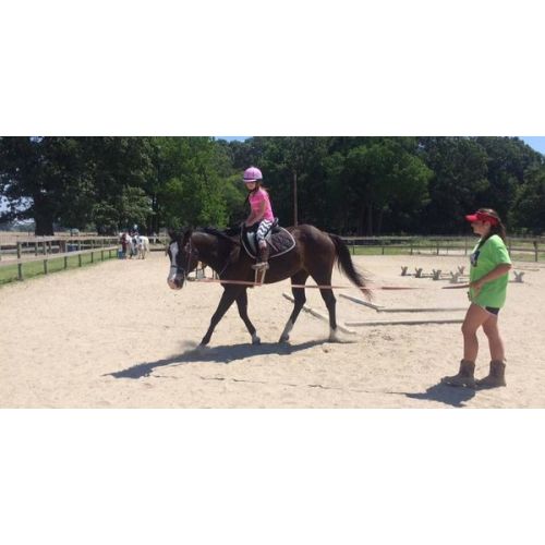 New Hope Stables Lessons