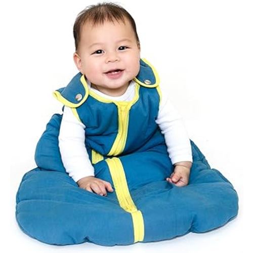 Baby Deedee Sleep Nest Sleeping Sack, Warm Baby Sleeping Bag fits Newborns and Infants,Large (18-36 Months)