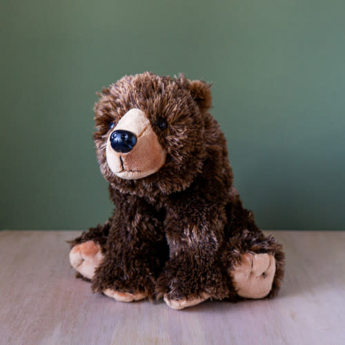 grizzly bear- glacier national park conservancy