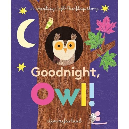 Goodnight, Owl! Board book – January 1, 2019