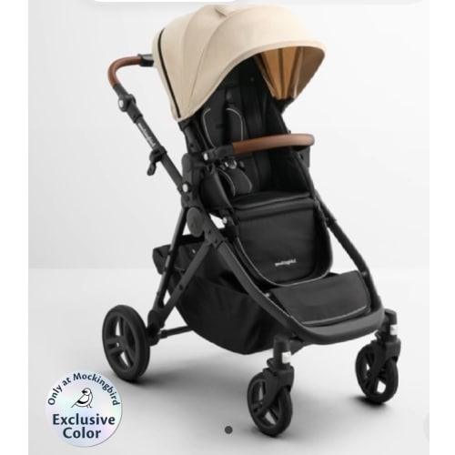 Single-to-Double Stroller 3.0