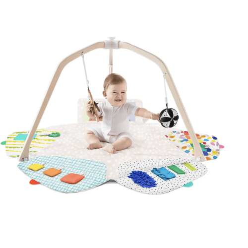 Second Hand Love Every Baby Play Gym fund