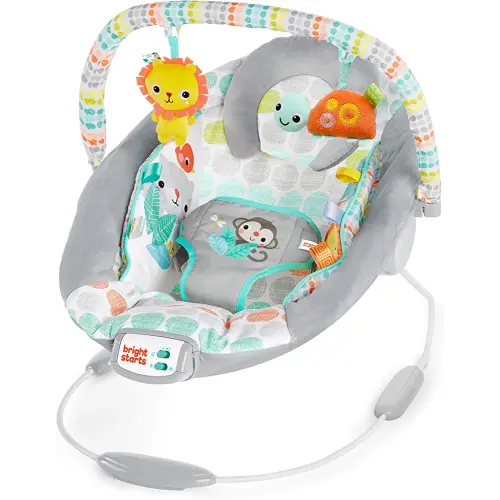 Bright Starts Comfy Baby Bouncer Soothing Vibrations Infant Seat - Taggies, Music, Removable -Toy Bar, 0-6 Months Up to 20 lbs (Whimsical Wild)