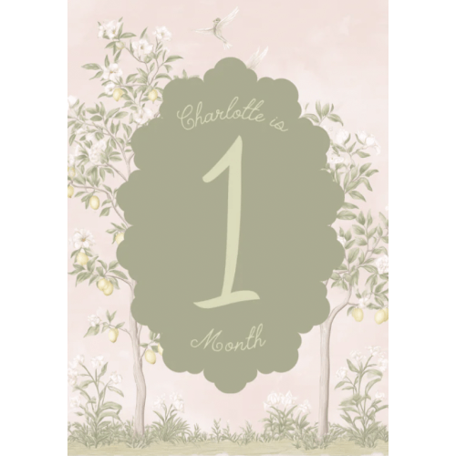 Pink Chinoiserie Custom Milestone Markers