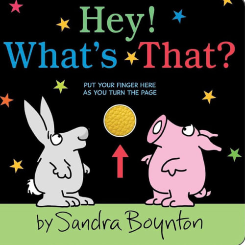 Hey! What's That?