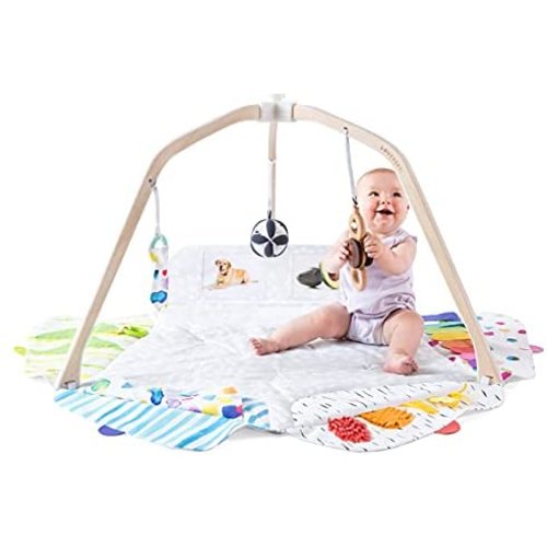 The Play Gym by Lovevery | Stage-Based Developmental Activity Gym & Play Mat for Baby to Toddler