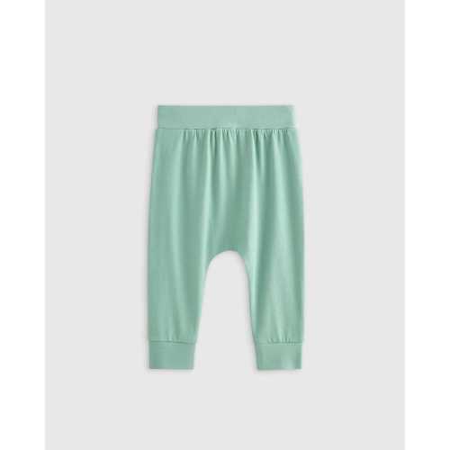 100% Organic Cotton Everyday Pant  in Sage Green