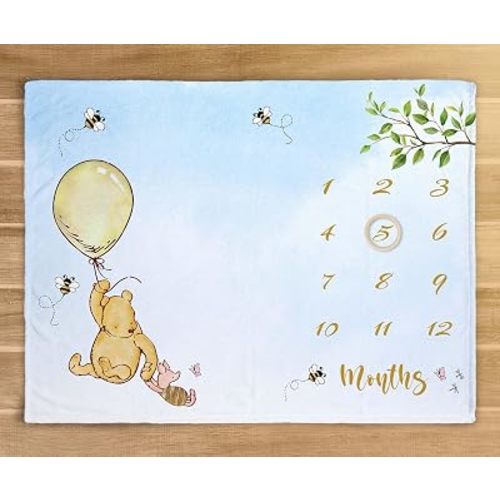 Classic Winnie Baby Monthly Milestone Blanket Baby Shower