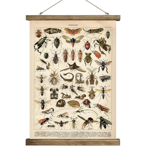 SHOXREM Vintage Poster,Rustic Art Prints, Retro Style of Wall Hanging for Living Room Office Classroom Bedroom Playroom Apartment Decor. (Insects B 1Panels, 16“ x 24”)