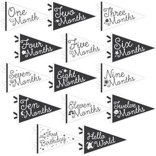 Lucy Darling Petit Milestone Pennants – Baby Monthly Milestone Pennant Flags – Newborn Photo Props & Felt Nursery Decor – Keepsake Banner Set for Baby Photos – Little Stargazer