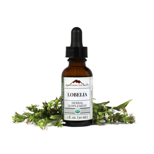 Lobelia Extract