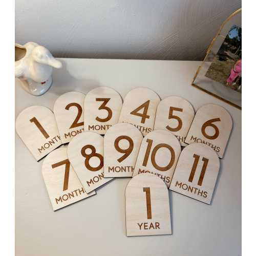 Baby Monthly Milestone Markers | 1-12 Month | Wooden Milestone Discs | Baby Photos | Hello World | Baby Shower| Baby Growth | Baby Photos
