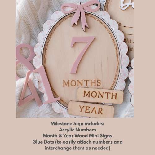 Baby Girl Monthly Milestone Sign