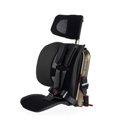 WAYB Pico Convertible Car Seat - Earth
