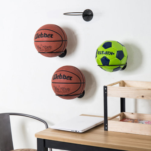 Gracie Oaks Florenza Wall Mounted Sports Rack & Reviews | Wayfair
