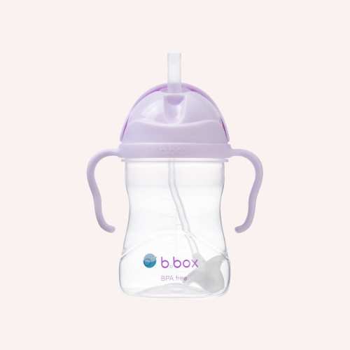 Sippy Cup - Boysenberry