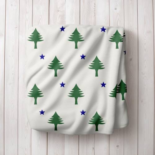 MAINE Original Flag Blanket - Maine 1901 Flag Newborn Swaddle - Maine 1901 Flag Blanket - Maine Gifts - Maine Baby Gifts - Maine Flag