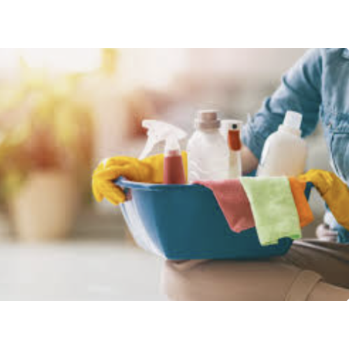 **PURCHASED😊** Prenatal or Postpartum one time house cleaning service for Bridget