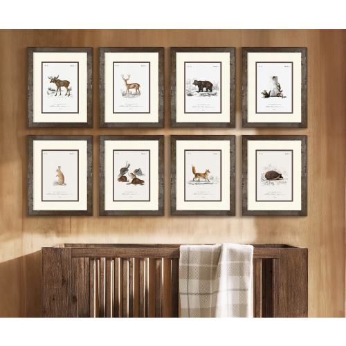 Framed Vintage Woodland Animal Art Prints perfect for Boy's Nursery, Rustic Wood Frames, Woodland Boy’s Room