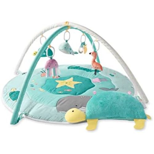 Simple Joys by Carter's Play Gym