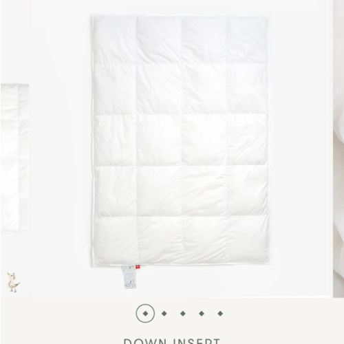 Toddler Down Insert