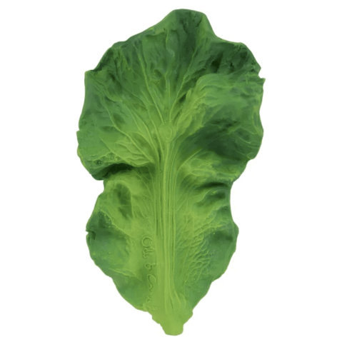 Kendall the cabbage teething ring