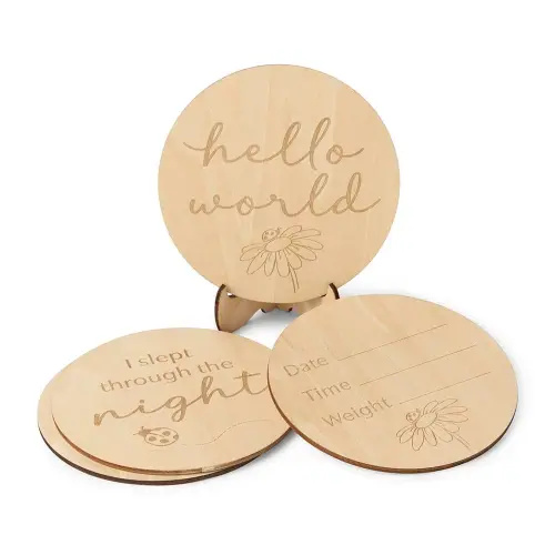 Ladybug Wooden Milestone Cards | Snuggle Hunny