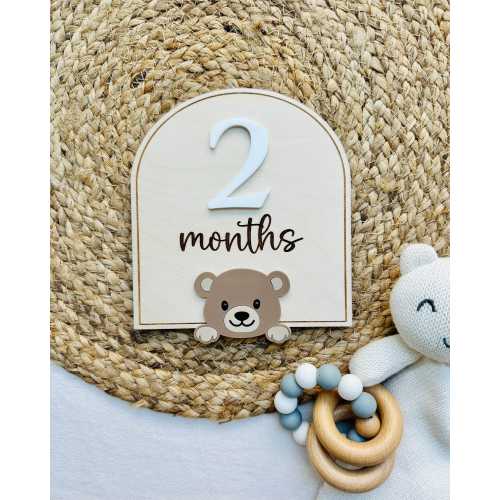 Teddy Bear Monthly Milestone Sign – Double Sided Baby Photo Prop | Interchangeable Acrylic Numbers