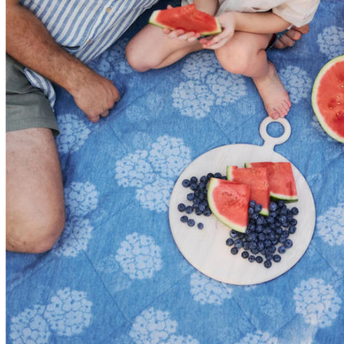 The Daytripper Outdoor Blanket