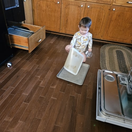 Come by and sweep the kitchen floor