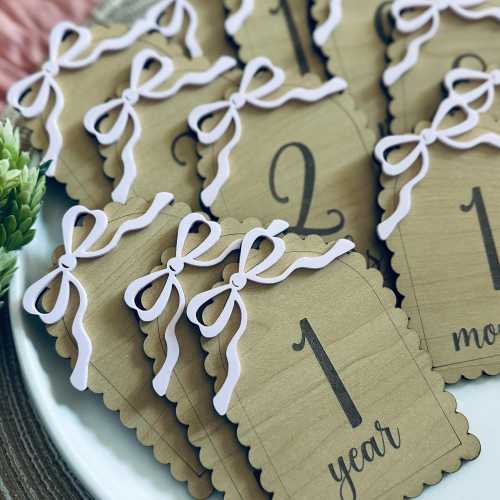 Baby Girl Wooden Monthly Milestone Markers | Pink Bow Baby Milestone Set | 1 Month to 1 Year Photo Props | Newborn Keepsake Gift | New Baby