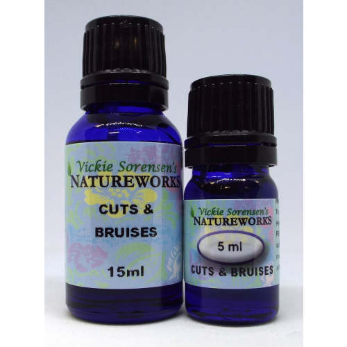 Cuts & Bruises – Vickie Sorensen's NATURE WORKS